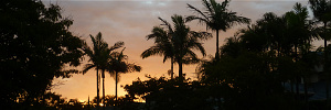 subject tag image